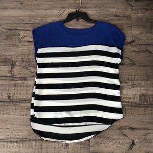 Blue Striped Blouse